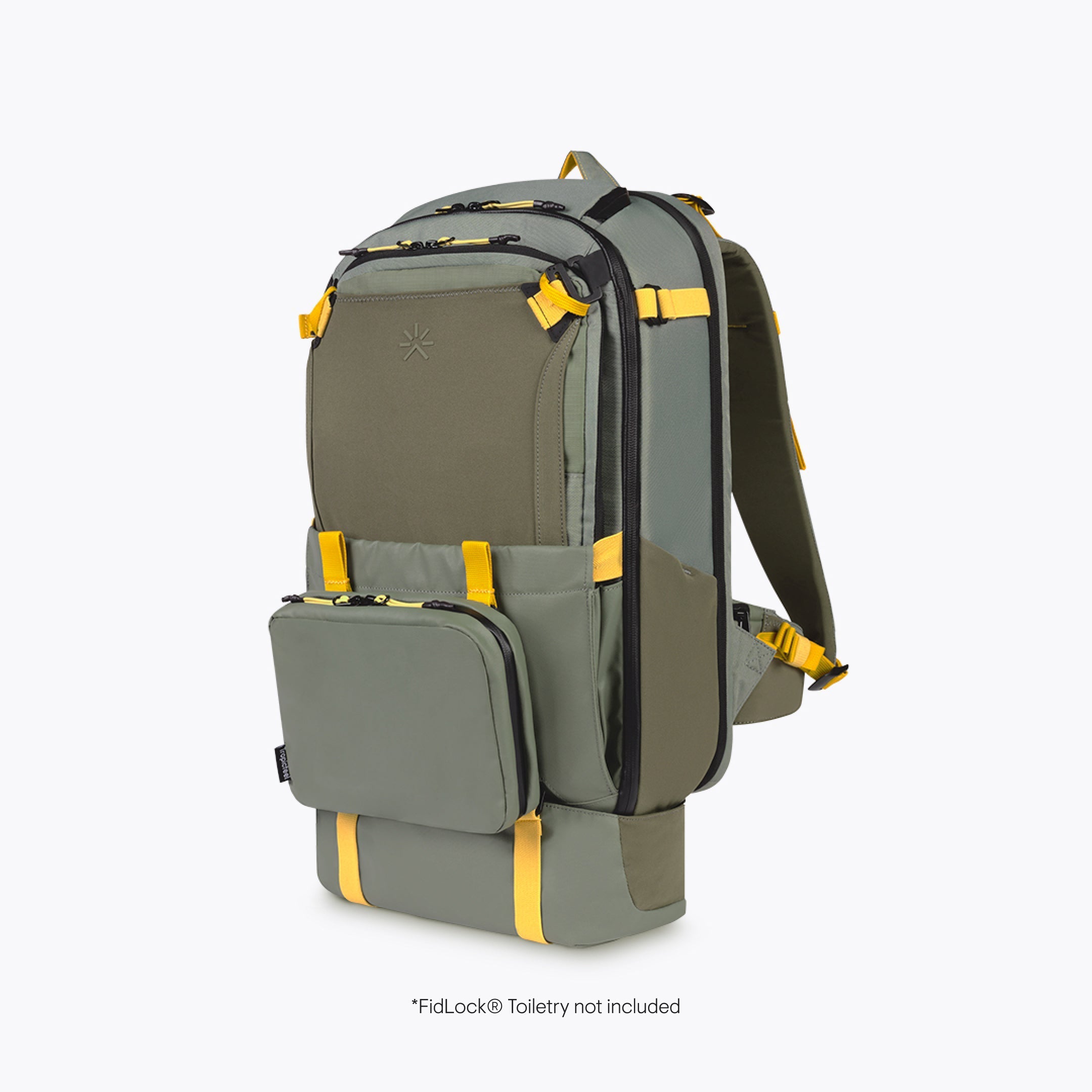 Hive – Tropicfeel Thailand Hive – Tropicfeel Thailand